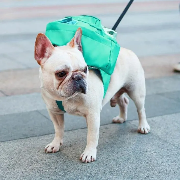 Stylish Frenchie Self Backpack WS227